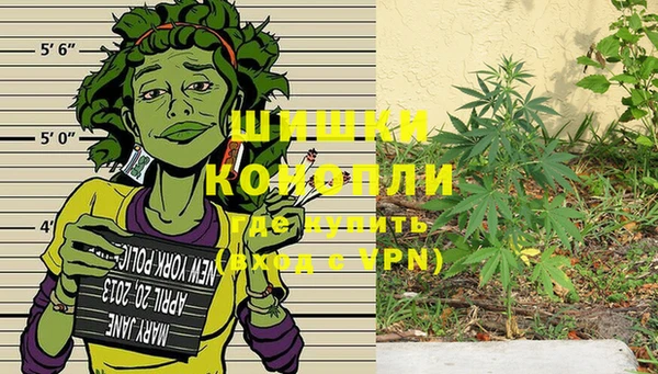 ПСИЛОЦИБИНОВЫЕ ГРИБЫ Баксан