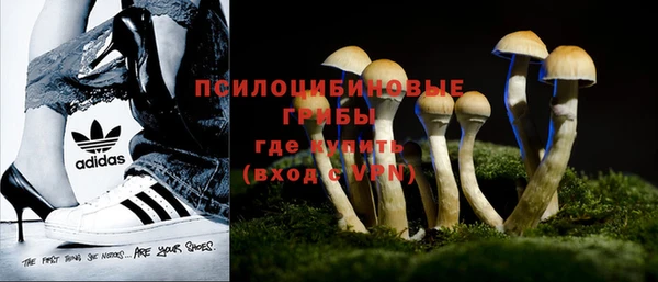 ПСИЛОЦИБИНОВЫЕ ГРИБЫ Баксан