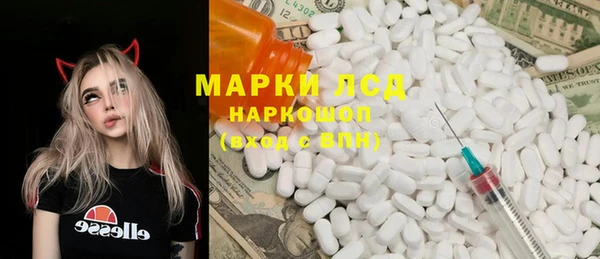 ПСИЛОЦИБИНОВЫЕ ГРИБЫ Баксан